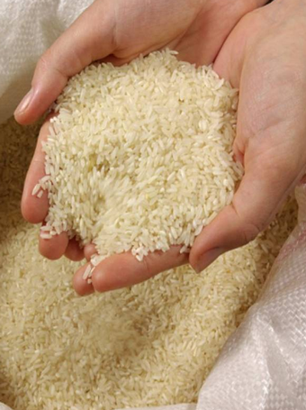 Rice execution